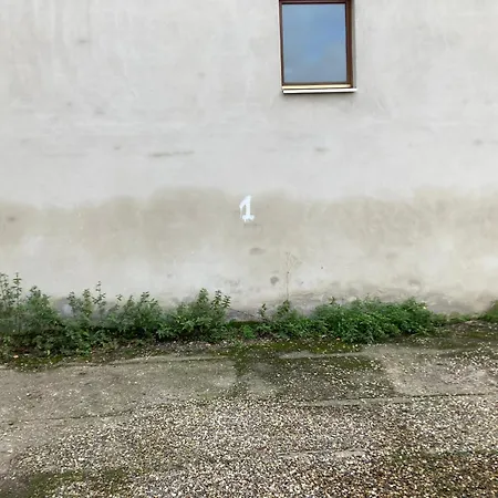 Suzanne * Straatsburg